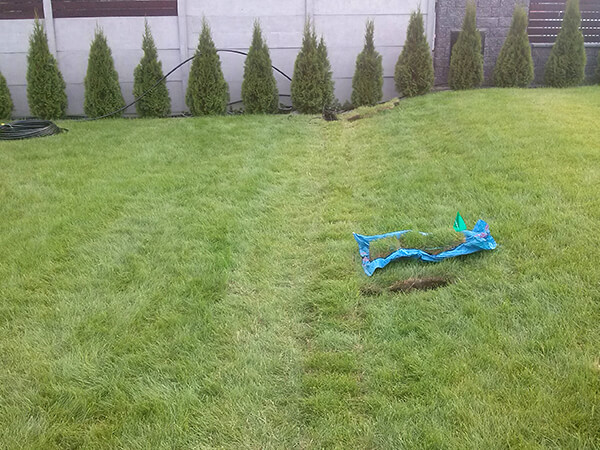 Trawnik po montażu